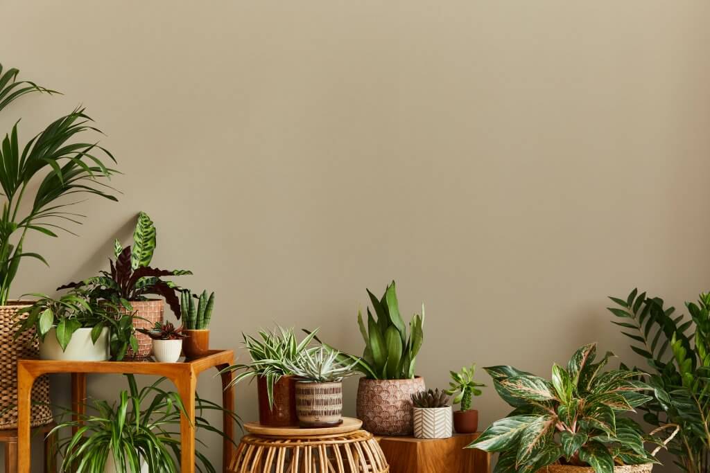 whole-home humidifier