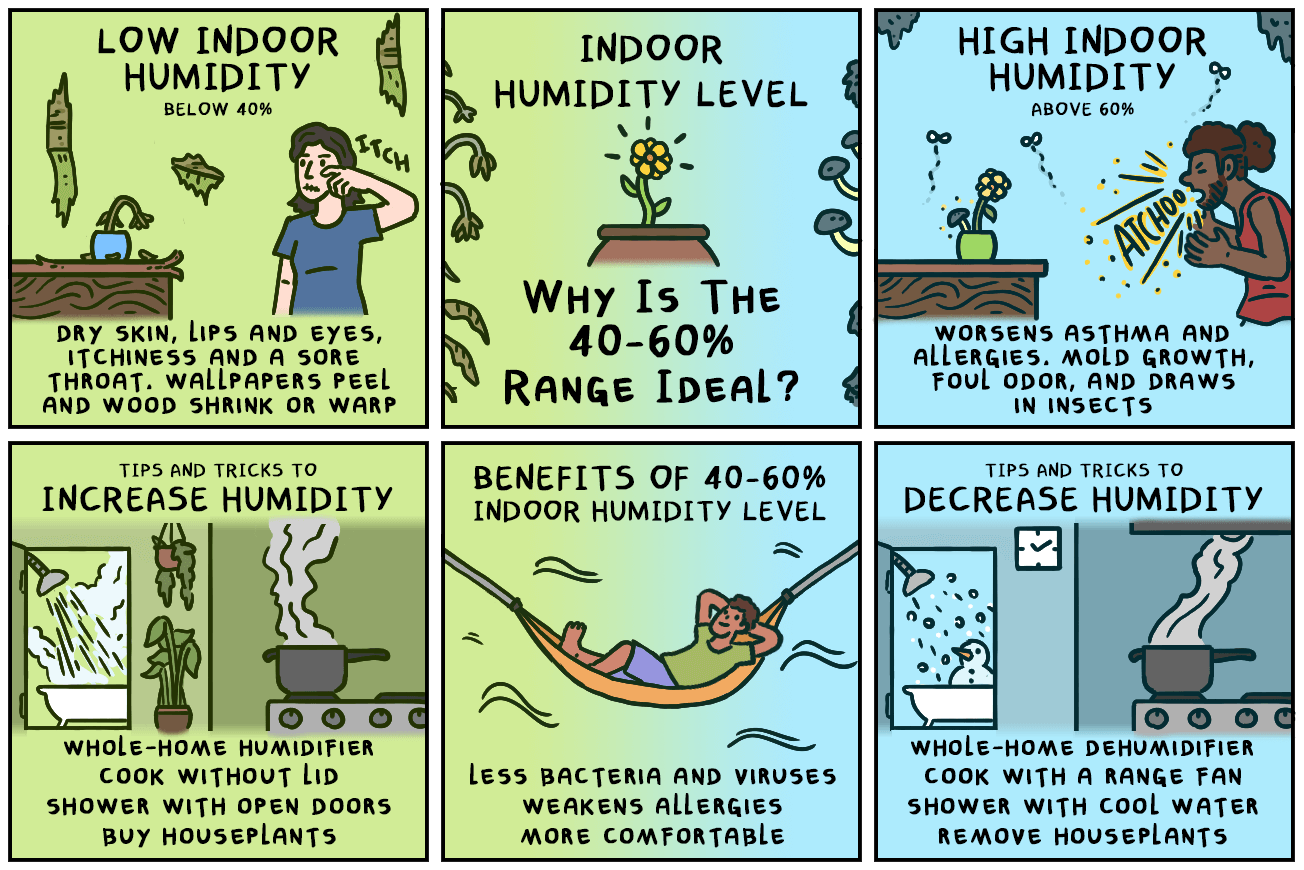 Ideal Humidity Level in House & How to Control It