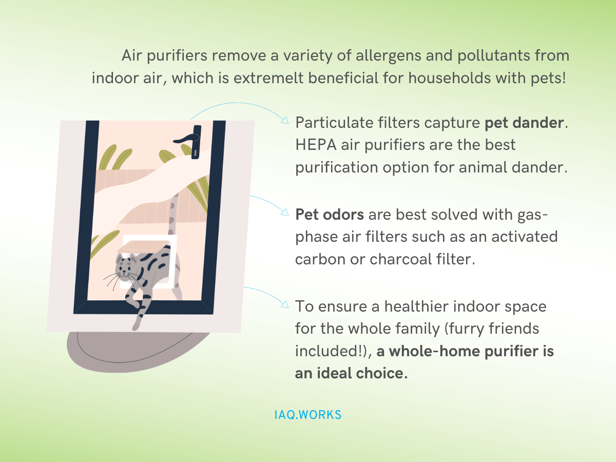 Air filters deals for pet allergies