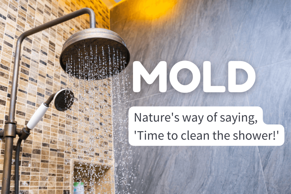 mold - Nature's way of saying, 'Time to clean the shower!'